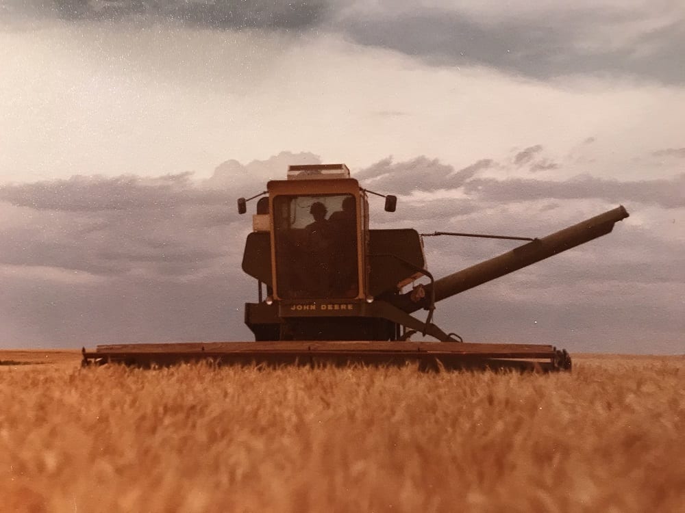tractor in field of wheat